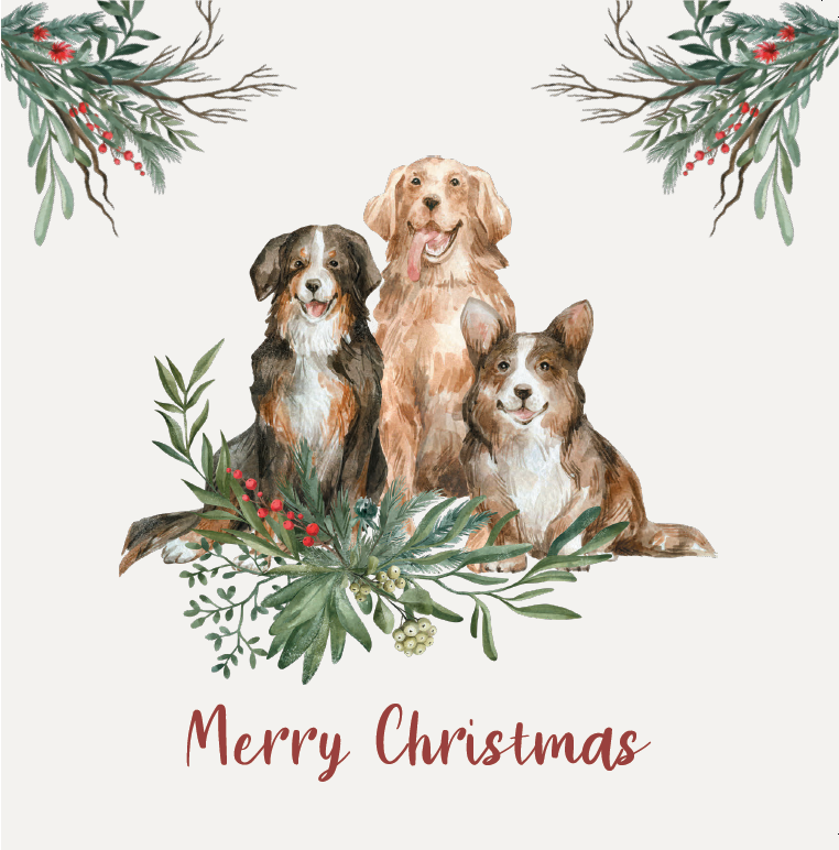 Dog Christmas cards