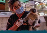 Christmas gift of a life-changing donation