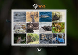 2026 Wildlife Calendar