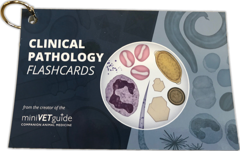 Pathology Flashcards