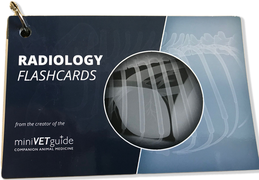 Radiology Flashcards