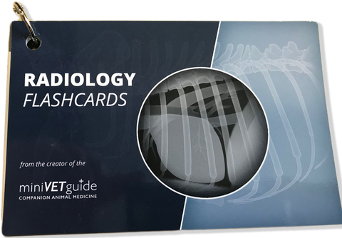 Radiology Flashcards