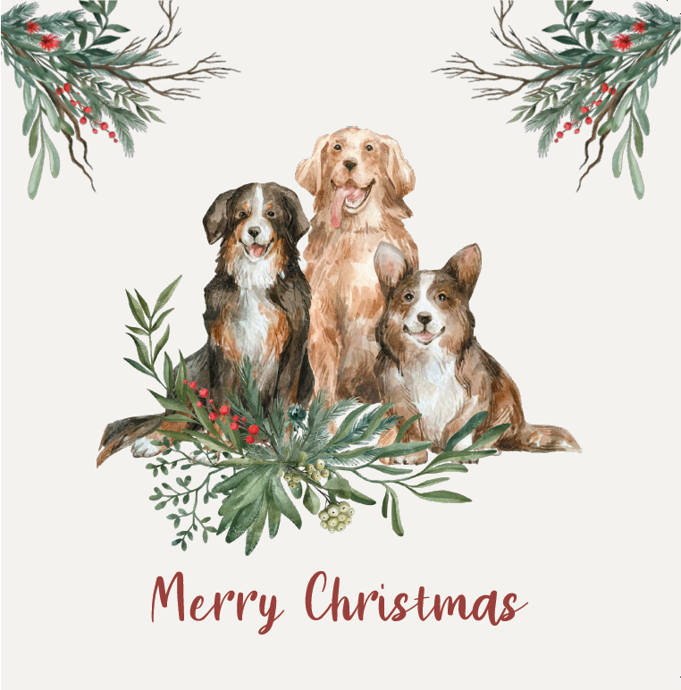 Dog Christmas cards (pack of 10)